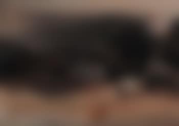 No.193 (preview)