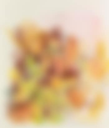 Floral Study (preview)
