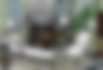 L'Antichambre et la Chaise longue (The Antechamber and Lounge Chair) (preview)