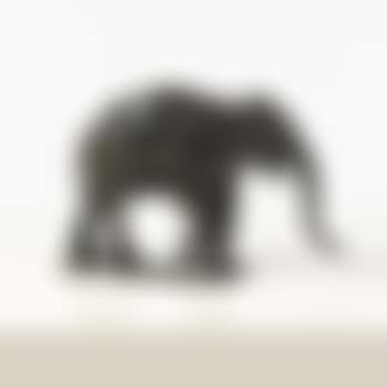 Eléphant d'Asie en marche (preview)