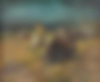 The Hunt (preview)