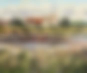 Shore Cottages (preview)