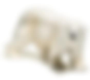 Kleiner Eisbär by Otto Jarl (preview)