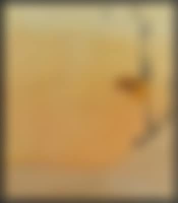 Composition (preview)