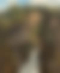 Torrent Dans Une Gorge, Arbres / Reichenbach Falls (preview)