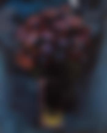 Rhoda's nocturnal pilgrimage (preview)