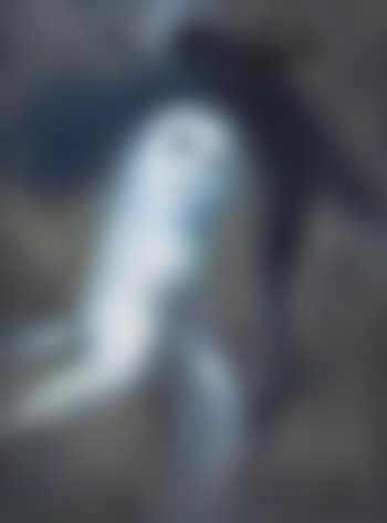Kneeling figure with beast (preview)