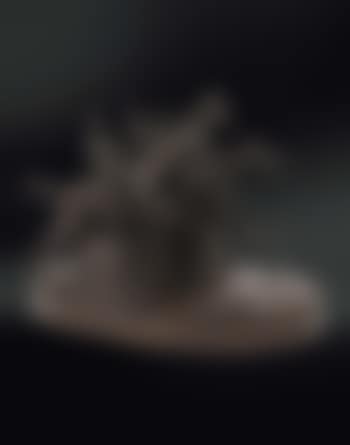 Fantini in corsa (preview)