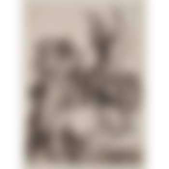 Coat of arms with a skull (preview)