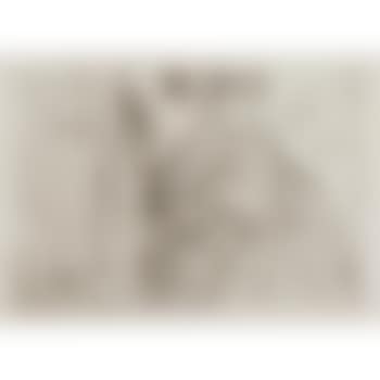 Portrait de Theo van Rysselberghe (preview)