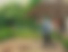 Eftermiddagsarbejde.  Afternoon work.  Smallholder fighting the moles in the vegetable garden (preview)