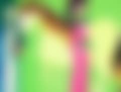 A horse and two women with flowers (preview)