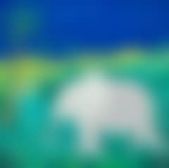 Elephant on the Savannah (preview)