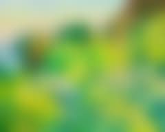 Evening light behind trees, Sletten (preview)
