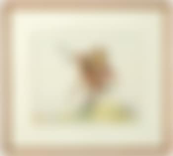 Sioux Warrior (preview)