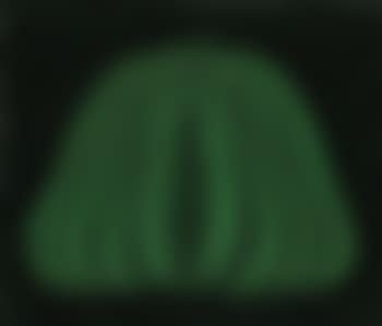 Pumpkin Green  [TOWHT] (preview)
