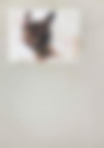 Untitled (preview)