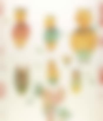 Vernal Equinox No.2 (preview)