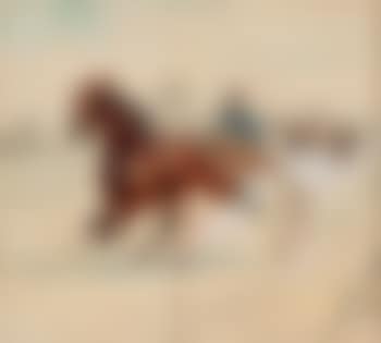 Horse Racing (preview)