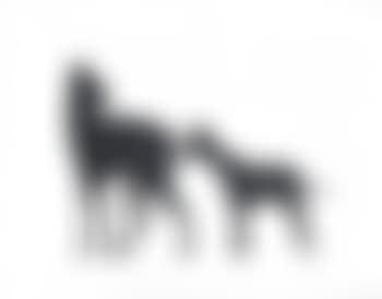 Zwei Hunde (preview)