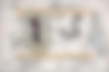 Das Blutende (preview)