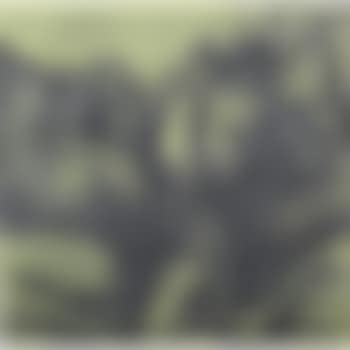 Ronda (preview)