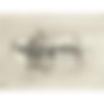 Composition (preview)