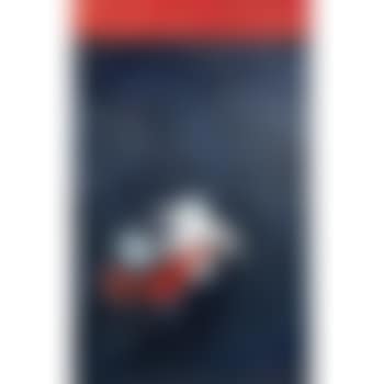 Untitled (Birds) (preview)