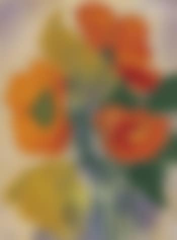 Roter und gelber Mohn (preview)