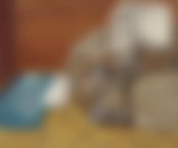 Tempio in una stanza (preview)