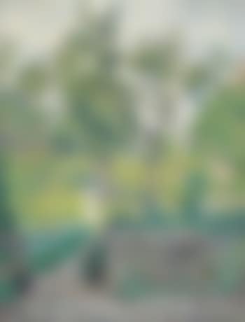 Dans un jardin à Champigné (preview)