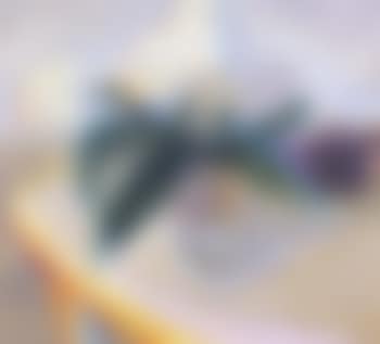 Plant for a Present (preview)