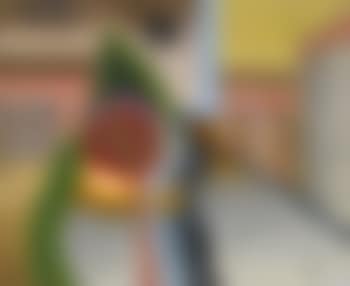 Composition (preview)