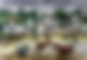Doellan (preview)