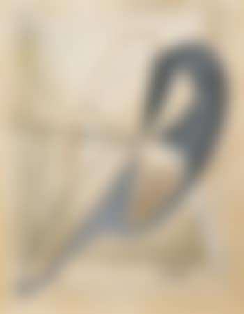 Anpor (preview)