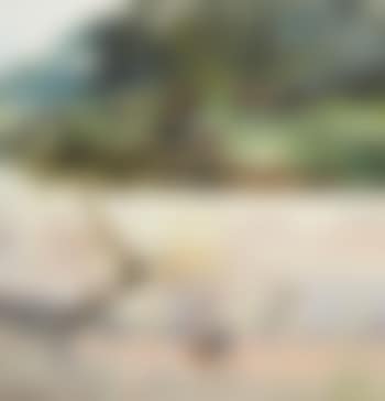 Vaches (preview)