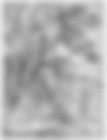 Der hl. Hieronymus (preview)
