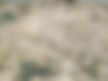 Siloam and the Mount of Olives (preview)