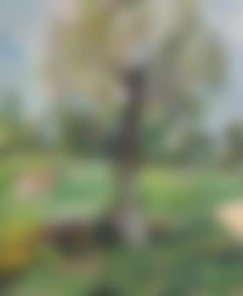 L'Aulne dans la prairie (preview)