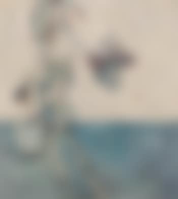 Rubber Plant and Skeleton (preview)