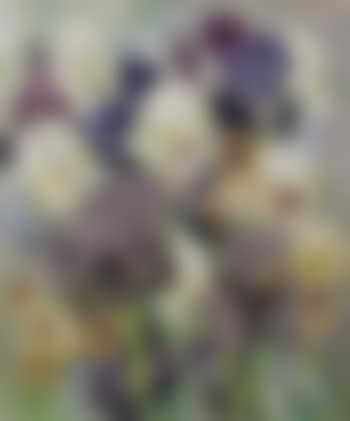 May Flowering Irises No. 2 (preview)