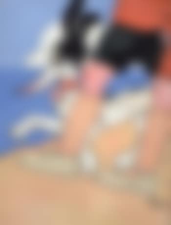 Serpentin, Mitou et Toti (preview)