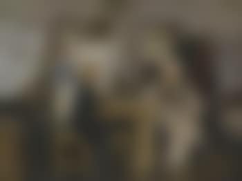 The idealist (preview)