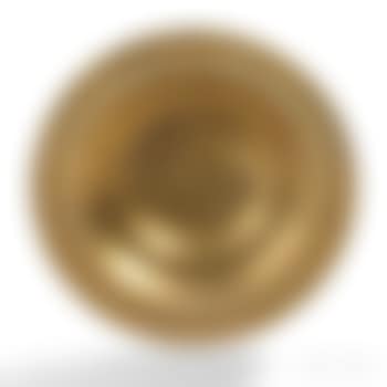 Dish (preview)