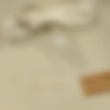 Two Dancers Plate (preview)