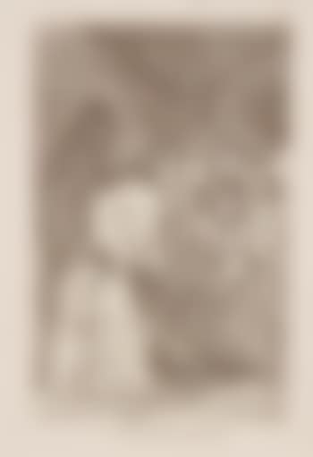 Tragata Perro (preview)