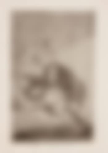 El Vergonzoso (preview)