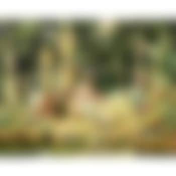 The Fishing Party (preview)