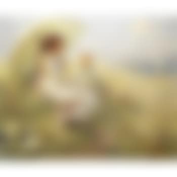 Cornfield in Summertime (preview)