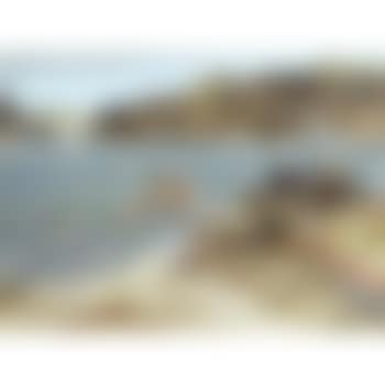 Sirens Observed (preview)